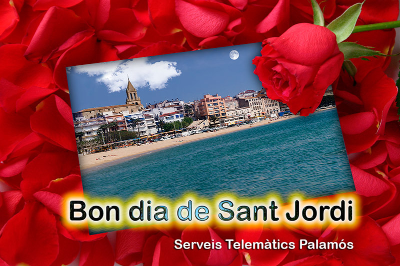 sant-jordi-palamos-stp