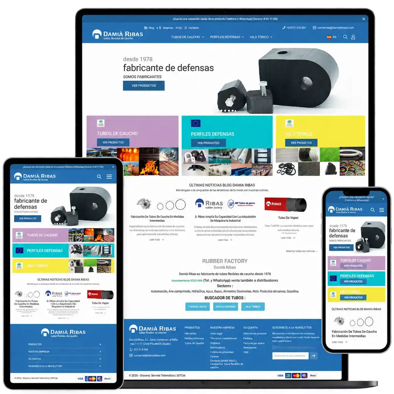 Disseny web Damià Ribes Online | Serveis Telemàtics